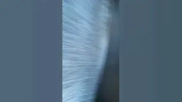 КИА СИД стук сзади справа