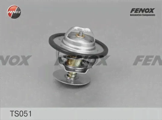 Термостат Fenox TS051-0