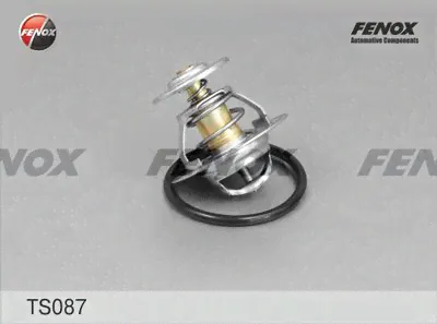 TS087 FENOX Термостат-0